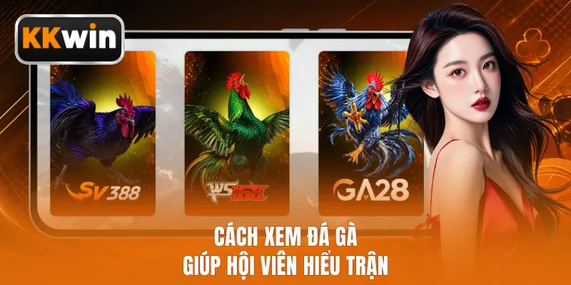 Cách xem đá gà giúp hội viên hiểu trận