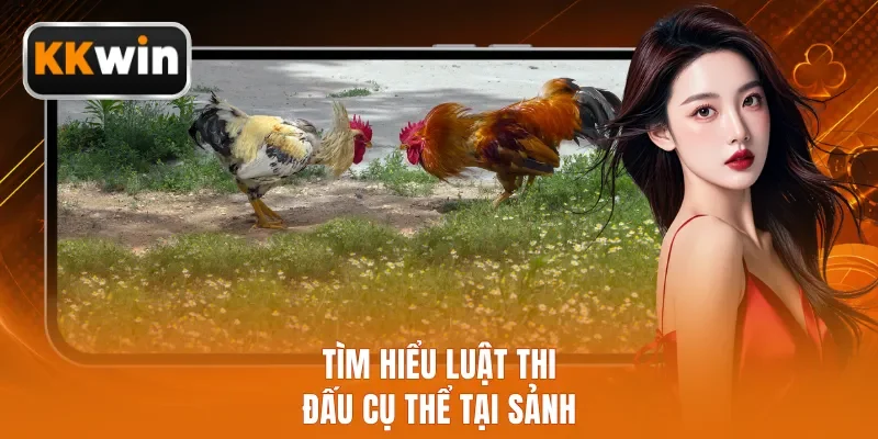 Tìm hiểu luật thi đấu cụ thể tại sảnh